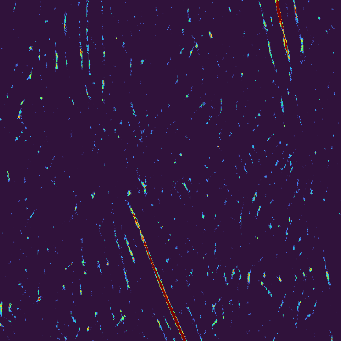 Scores map z-slice 61